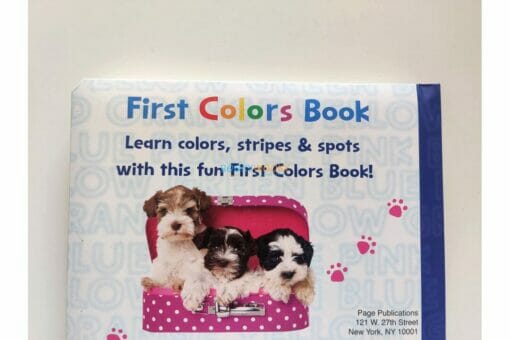 First Colors Book BoardBook 9781648331374
