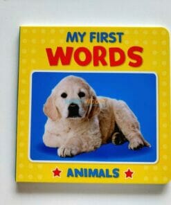 My Little Photo Treasury First Words Pack of 4T 9780709728344