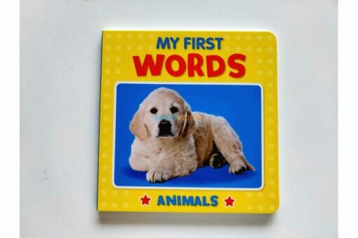 My Little Photo Treasury First Words Pack of 4T 9780709728344