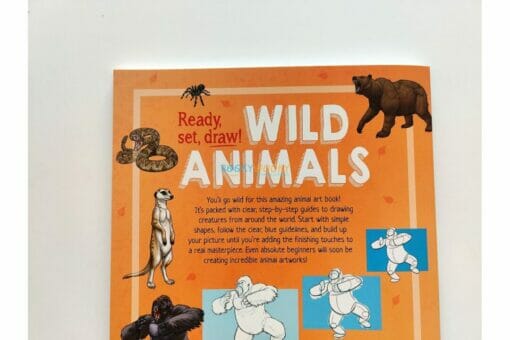 Ready Set Draw Wild Animals 9781784289836