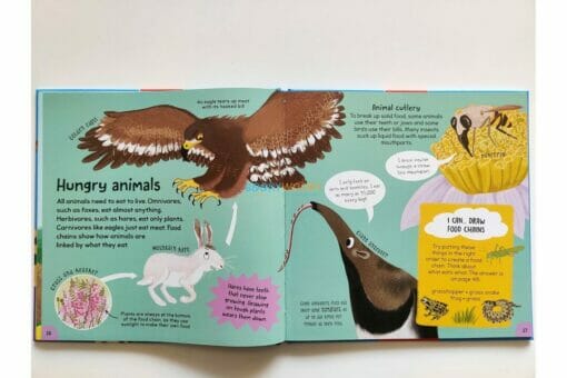 First Animal Book Hard Cover by Miles Kelly 9781789890709