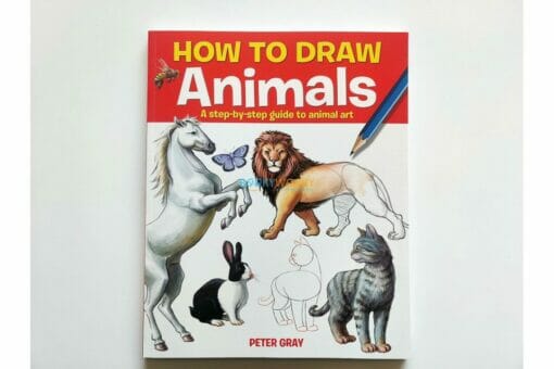 How to Draw Animals 9781782122869