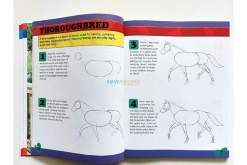 How to Draw Animals 9781782122869