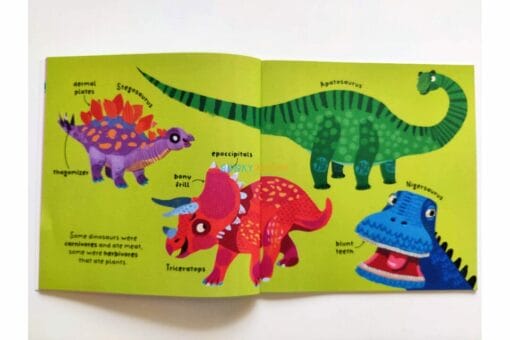 Big Words for Little Experts Dinosaurs 9781789894929 4