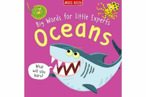 Big Words for Little Experts Oceans 9781789897586