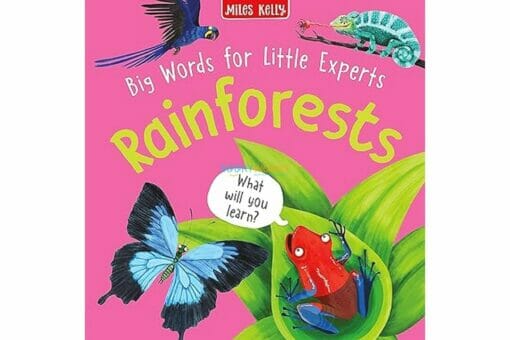 Big Words for Little Experts Rainforests 9781789897593