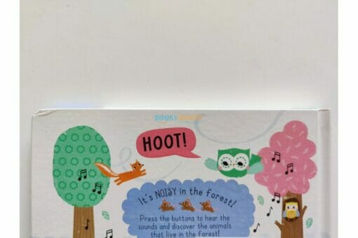 Hoot Hoot in the Noisy Forest 9781839238819
