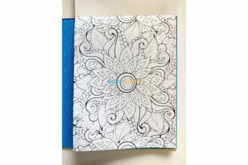 Mindful Patterns Coloring Kit 9781648335716