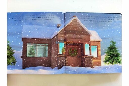 The Snow Globe 9781786708939