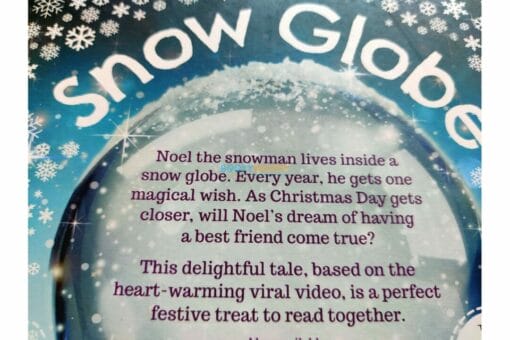The Snow Globe 9781786708939