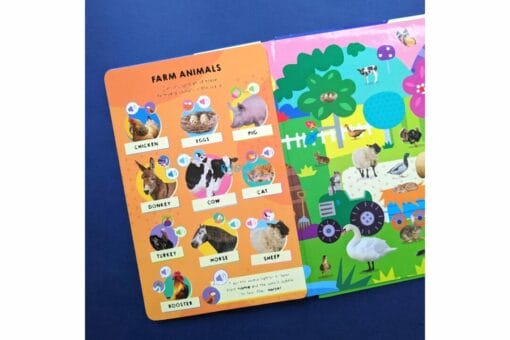 100 Button Look and Find Animal Words and Sounds 9781839239311