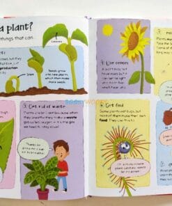 Curious Questions Answers About Plants 9781789890730