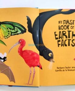 My First Book of Earth Facts 9789395453325