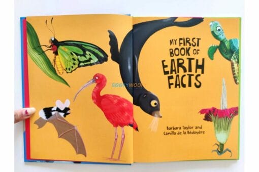 My First Book of Earth Facts 9789395453325