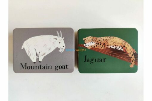 Animal Worlds a Memory Game 9781788819350
