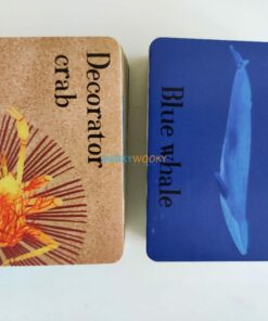 In the Ocean a Memory Game 9781788819367