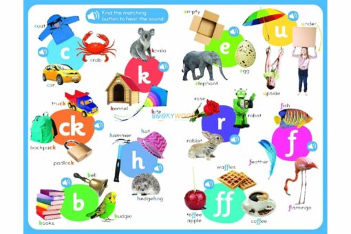50 Button First Phonics - A Listen and Learn Sound Book 9781839239496