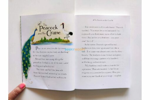 ILLUSTRATED STORIES FROM AESOP 9781474941495