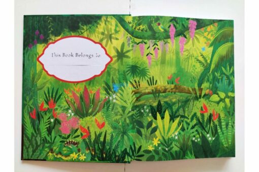 Once Upon a Story The Jungle Book 9781684123247
