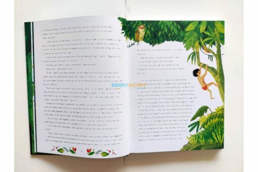 Once Upon a Story The Jungle Book 9781684123247