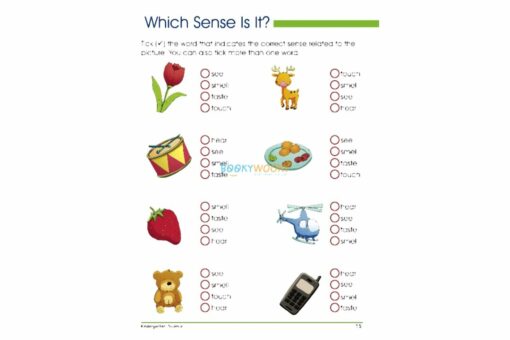 Smart Scholars Kindergarten Science 9789386108173
