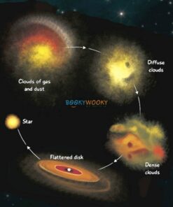 The Solar System Stars 9789386410184