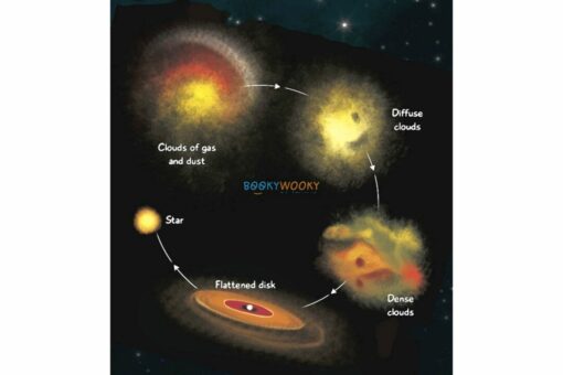 The Solar System Stars 9789386410184