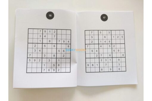 Large Print Sudoku 9781398848665