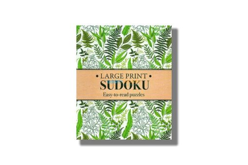 Large Print Sudoku 9781398848665