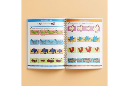 School Zone Big Kindergarten Workbook 9781488909245
