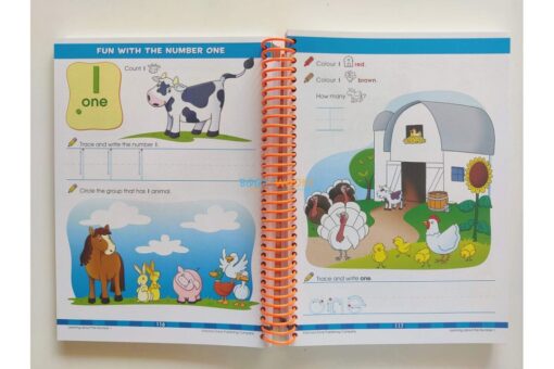 School Zone Big Kindergarten Workbook 9781488909245