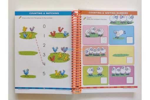 School Zone Big Kindergarten Workbook 9781488909245