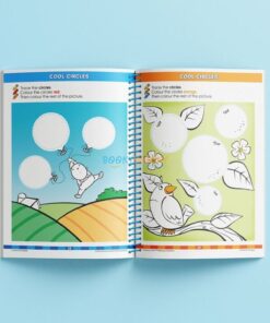 School Zone Big Preschool Workbook 9781488909313