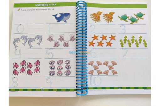 School Zone Big Preschool Workbook 9781488909313 (1)