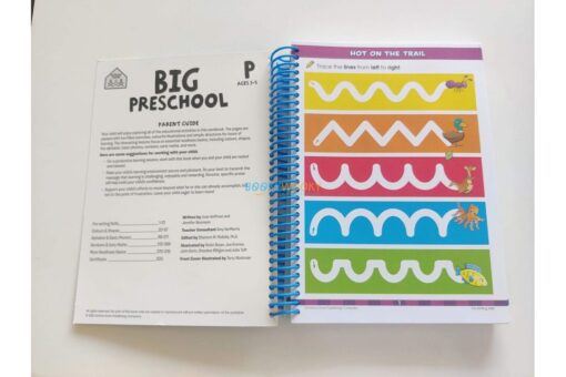 School Zone Big Preschool Workbook 9781488909313 (1)