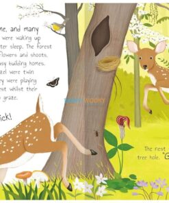 Forest Stories 9781789899405