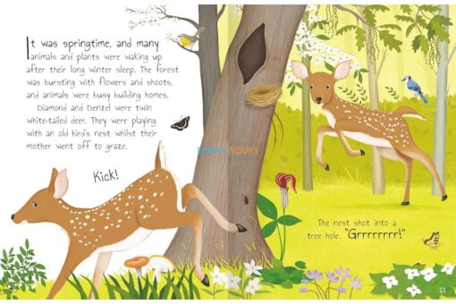 Forest Stories 9781789899405