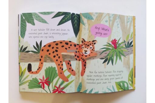 Forest Stories 9781789899405