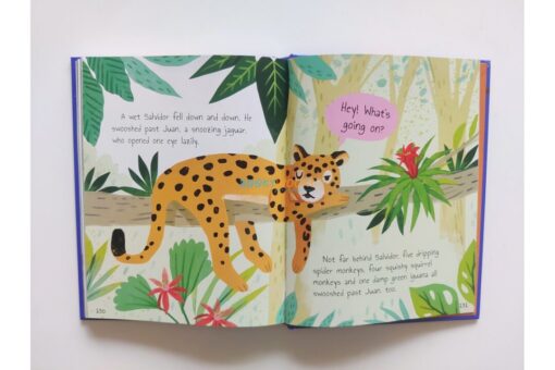 Tales from the Forest Delightful Stories to Share 9789395453820