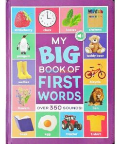 My Big Book of First Words Board book 350 Sounds