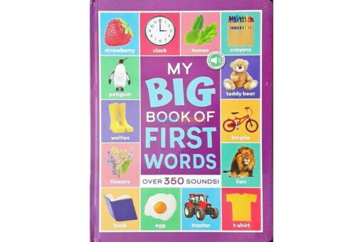 My Big Book of First Words Board book 350 Sounds