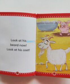 Early Reader Fox Has a Box 9781782705376 (1)