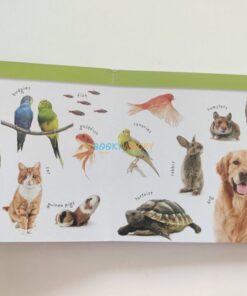 Match Ups My First Animals 9781837160631