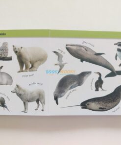 Match Ups My First Animals 9781837160631