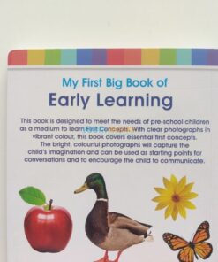 My First Big Book of Early Learning 9788190129671