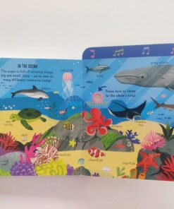 My Pull-Tab Sound Book In the Wild 9781835095218